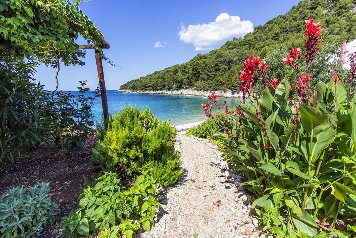 Seaside Secluded Apartments Cove Skozanje, Hvar - 5713 Gdinj Ngoại thất bức ảnh